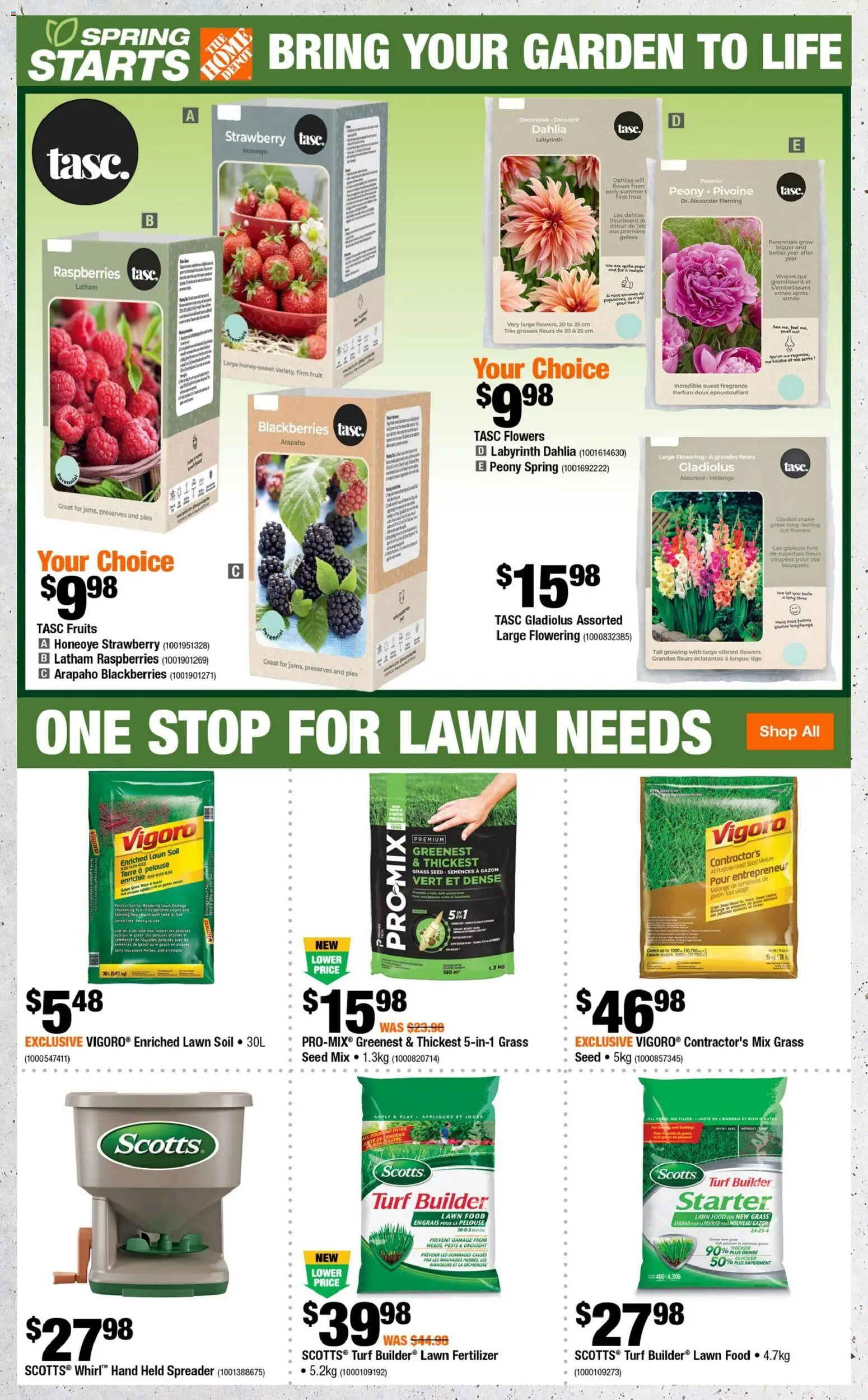 Home Depot flyer valid from 02.04.2026 | Page: 4 | Products: Fragrance