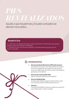 Vista previa Mary Kay catálogo válido desde el 01.06.2026 | Página: 44 | Productos: Acondicionador
