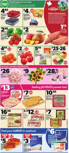 Preview of Independent Grocer weekly flyer / circulaire from shop Independent Grocer valid from Sep 24, 2026 | Page: 3
