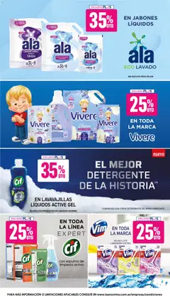 Vista previa La Anonima catálogo válido desde el 18.06.2026 | Página: 9 | Productos: Antigrasa, Lavandina, Espuma, Canasta