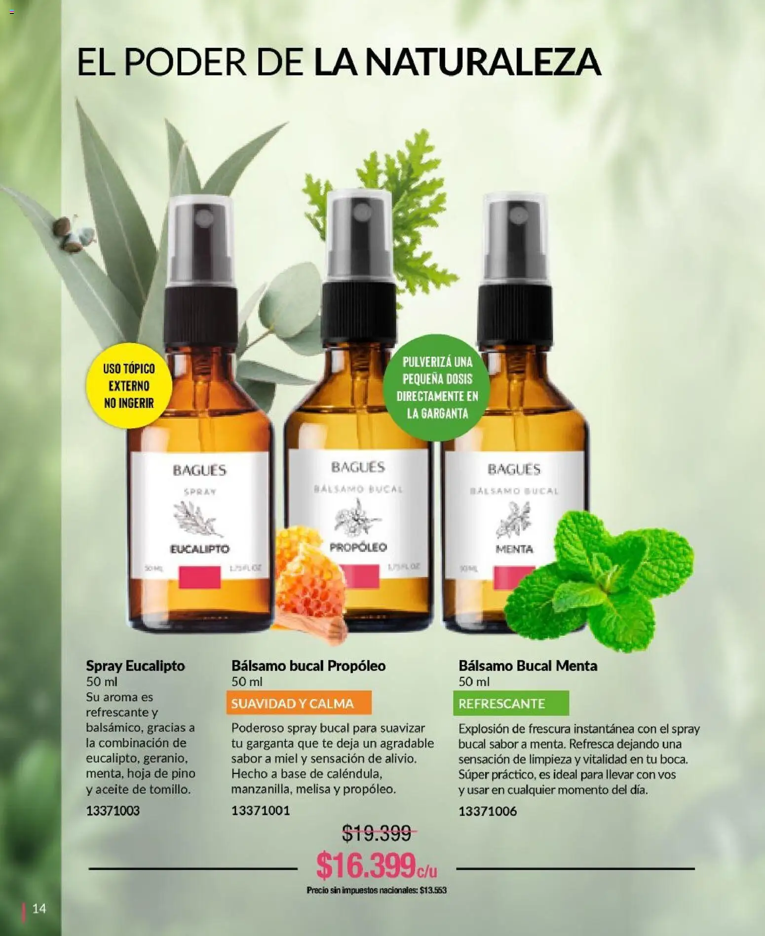 Bagués - Catálogo │ válido desde el 29/06/2026 | Página: 14 | Productos: Aceite, Bálsamo, Té