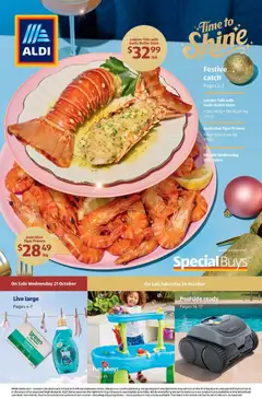 Preview of Aldi catalogue - valid from 21/10/2026