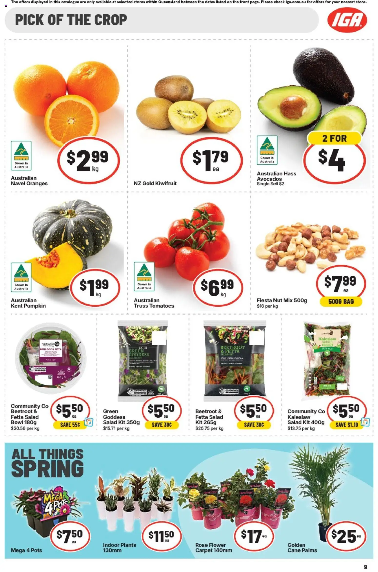 IGA catalogue - valid from 16/09/2026 | Page: 19 | Products: Carpet, Oranges, Tomatoes, Kiwifruit