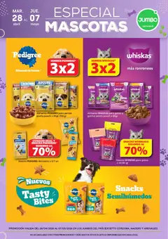 Vista previa Jumbo - Especial Mascotas | Jumbo válido desde el 28.04.2026 | Página: 2 | Productos: Pollo, Té, Pasta