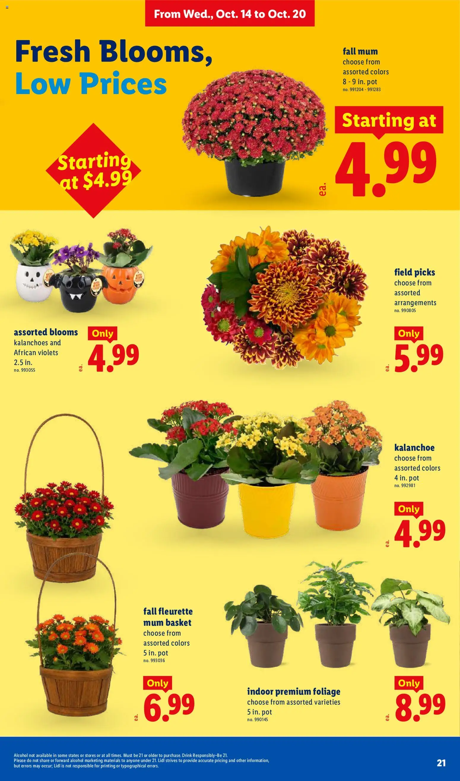 Lidl Weekly Ad - valid from 10/14/2026 | Page: 21
