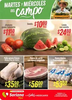 Vista previa de Soriana Martes y Miércoles del Campo Híper: Ver, Tab, Chis, Camp, Yuc y Q. Roo, nuevo folleto de la tienda, válido en México a partir del 04/08/2026