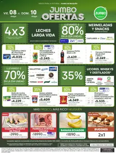 Vista previa Jumbo - Ofertas | Neuquén válido desde el 08.05.2026