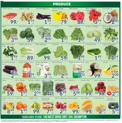 Preview of Oceans weekly flyer - Brampton from shop Oceans valid from Oct 2, 2026 | Page: 4 | Products: Blueberries, Tomato, Corn, Persimmon