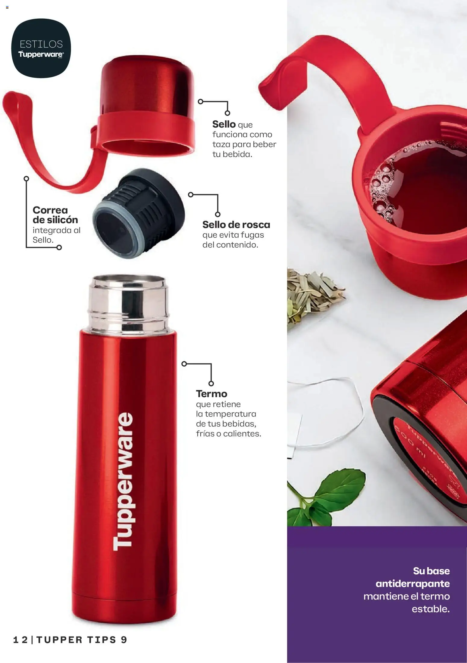 Nuevas ofertas de Tupperware válidas en toda la República Mexicana desde el 10/08/2026. ¡Encuentra las mejores ofertas en Tupperware catálogo! | Página: 12 | Productos: Taza, Tupper, Termo