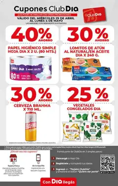 Vista previa Supermercado DIA Ofertas válido desde el 29.04.2026 | Página: 11 | Productos: Papel higiénico, Acelga, Aceite, Cerveza