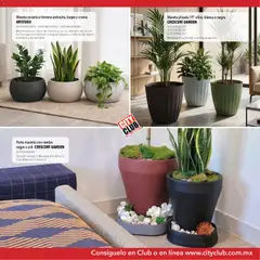 Vista previa de City Club Catálogo de muebles, nuevo folleto de la tienda, válido en México a partir del 13.03.2026 | Página: 15 | Productos: Crema, Maceta, Porta macetas