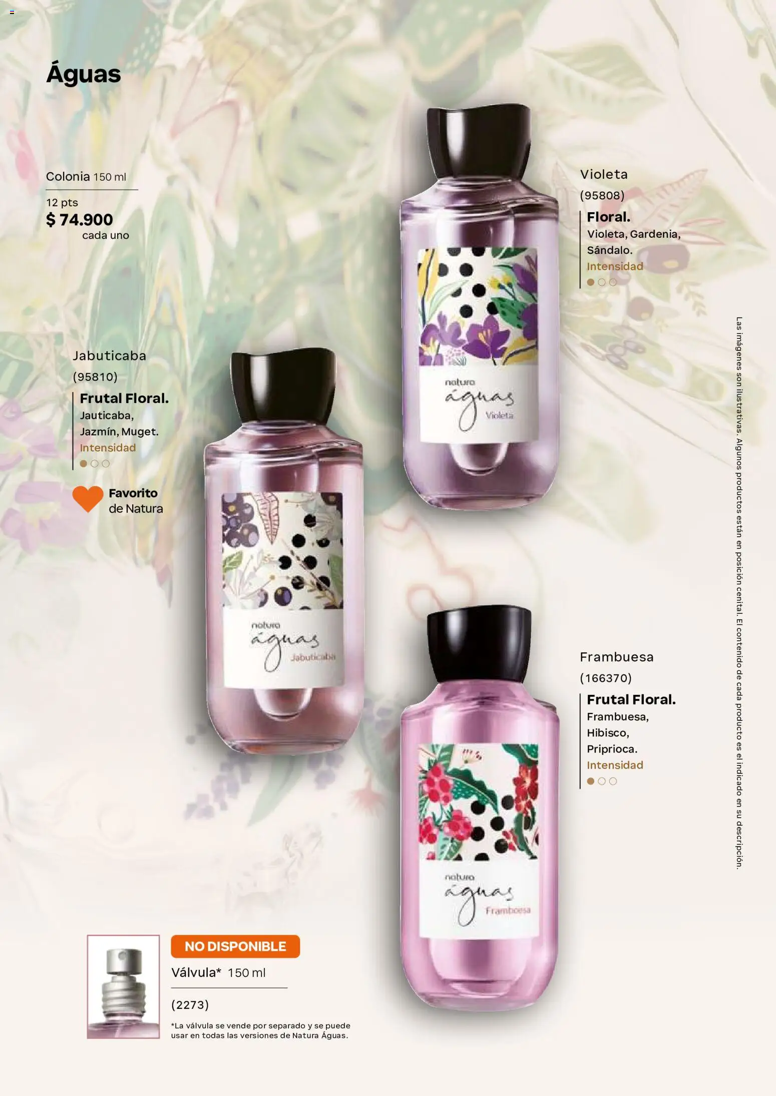 Natura revista - valida desde el 02/09/2026 | Página: 41 | Productos: Válvula