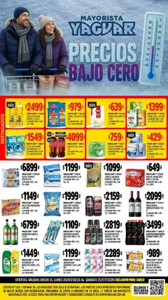 Vista previa Yaguar - Oferta Semanal Chaco válido desde el 20/07/2026