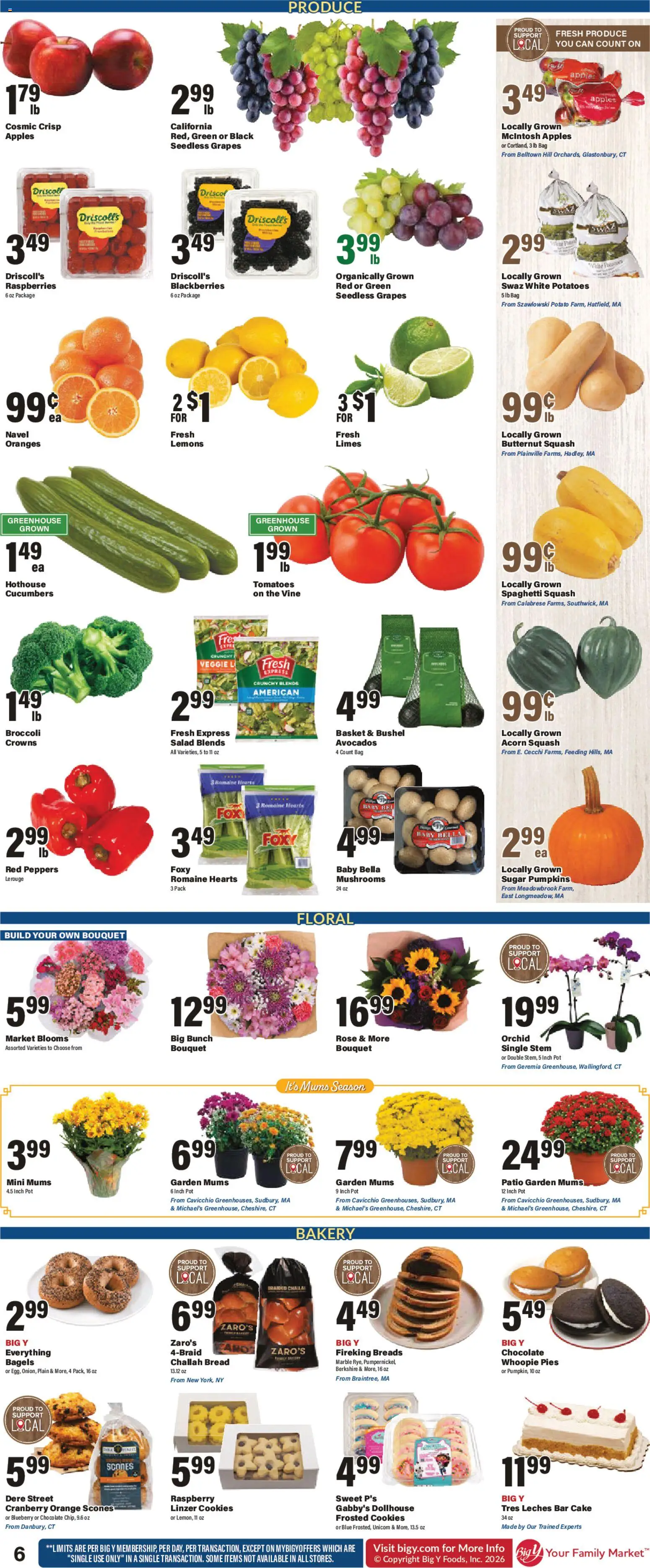 Big Y Weekly Ad - valid from 09/10/2026 | Page: 14 | Products: Bakery, Lemons, Squash, Grapes
