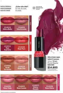Vista previa Avon -  Campaña 6/2026 válido desde el 01.06.2026 | Página: 29 | Productos: Lápiz labial, Vino