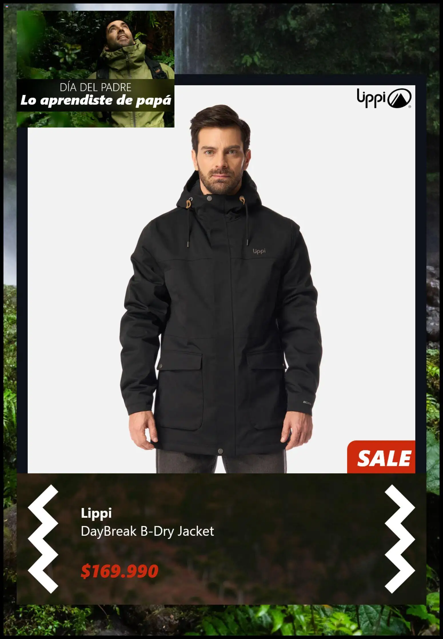 Lippi Ofertas │ válido desde el 11.06.2026 | Página: 3 | Productos: Papa