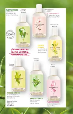 Vista previa de Yves Rocher campaña 7 2026, nuevo folleto de la tienda, válido en México a partir del 12.05.2026 | Página: 24