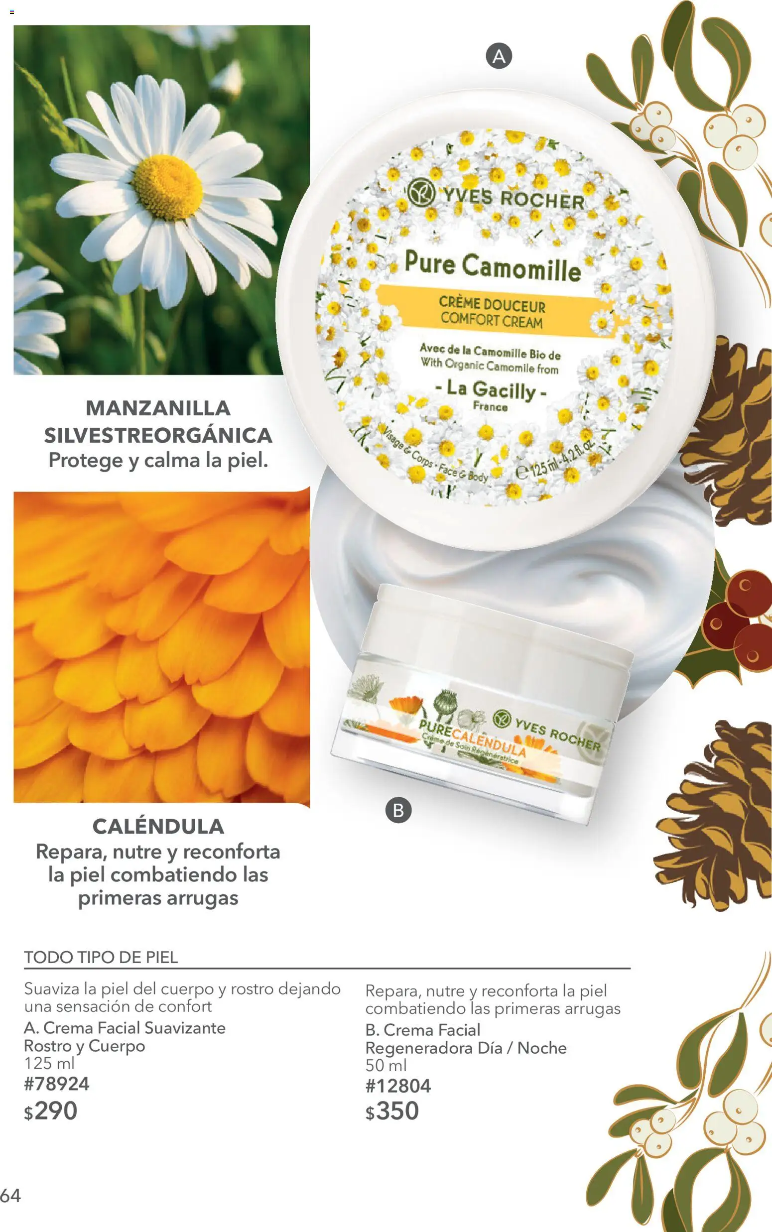 Nuevas ofertas de Yves Rocher válidas en toda la República Mexicana desde el 27/10/2026. ¡Encuentra las mejores ofertas en Yves Rocher campaña 15 2026! | Página: 64