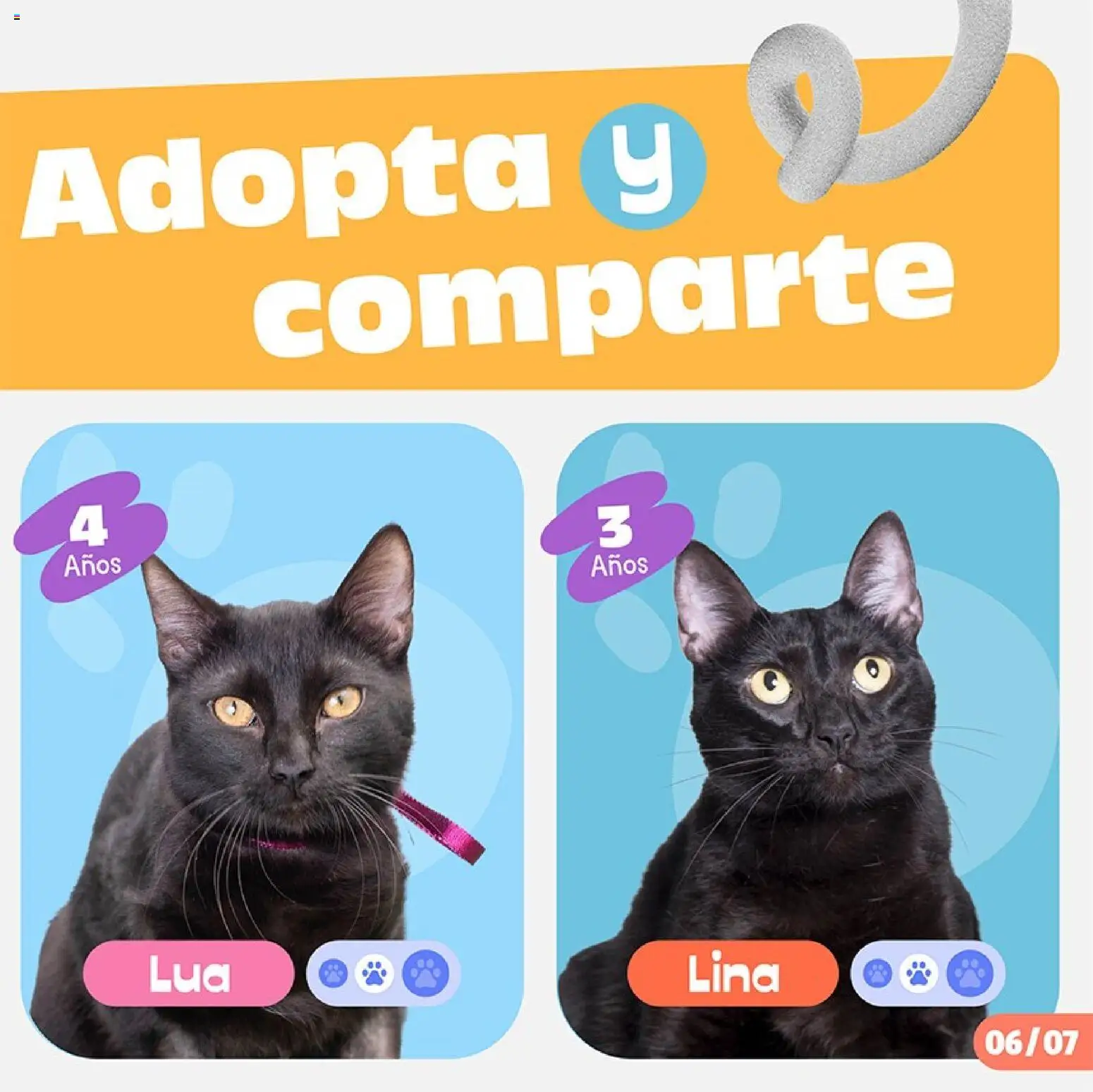 Catálogo Plaza Vea válido desde 11.05.2026 | Página: 7