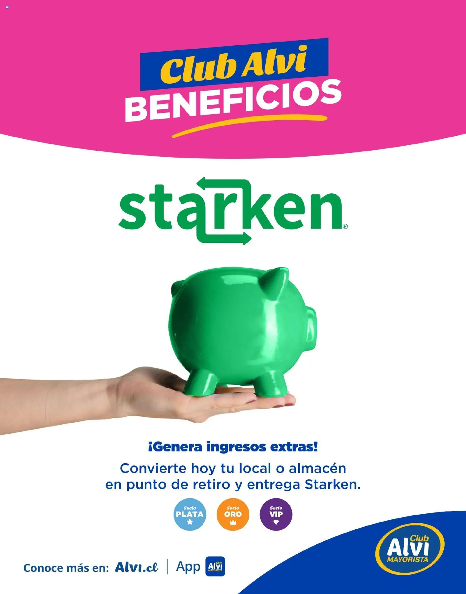 Alvi catálogo │ válido desde el 25.08.2026 | Página: 12