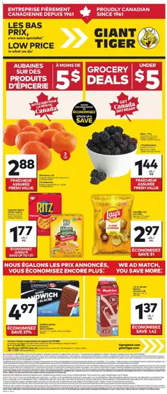 Preview of Giant Tiger Circulaire from shop Giant Tiger valid from Jul 1, 2026