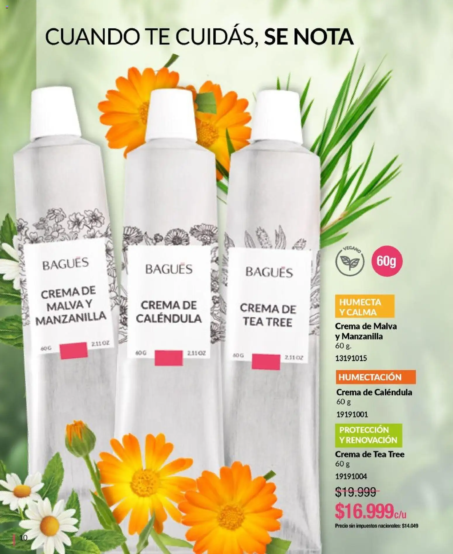 Bagués - Catálogo │ válido desde el 29/06/2026 | Página: 10 | Productos: Té, Crema