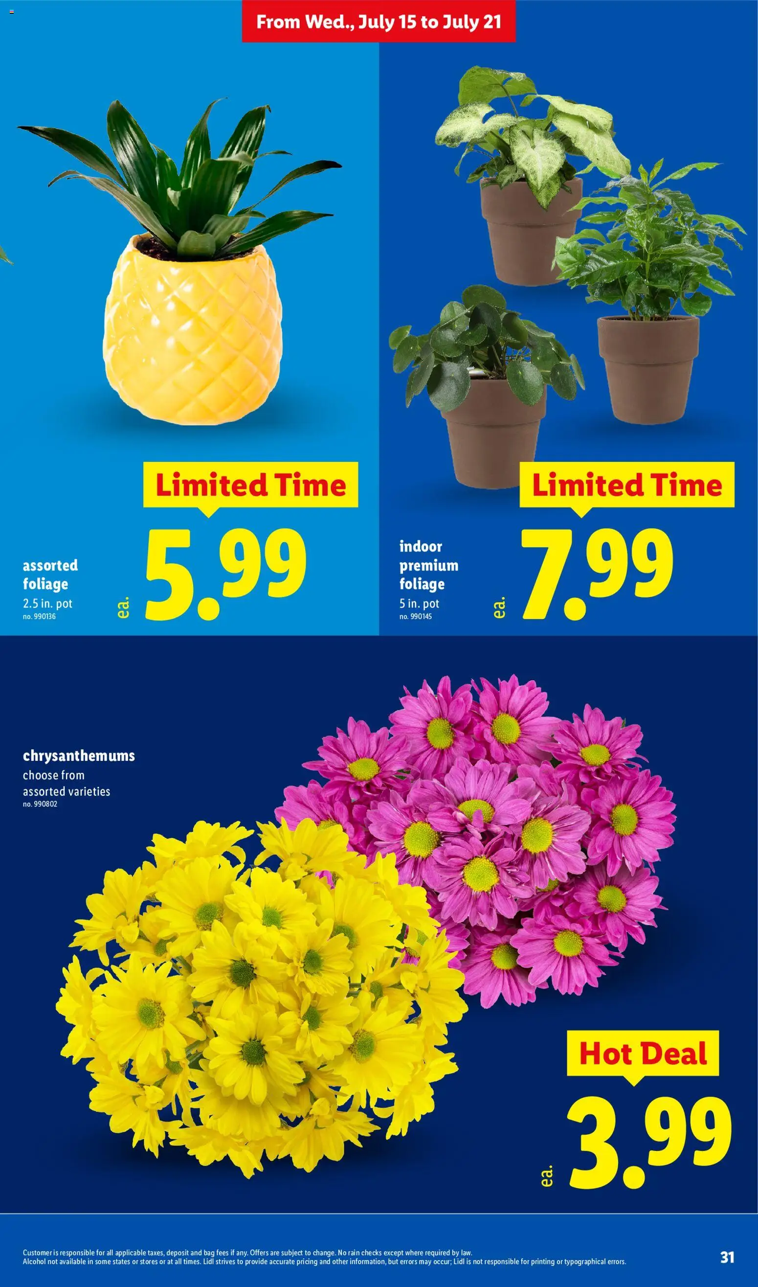 Lidl Weekly Ad - valid from 07/15/2026 | Page: 31 | Products: Alcohol, Bag