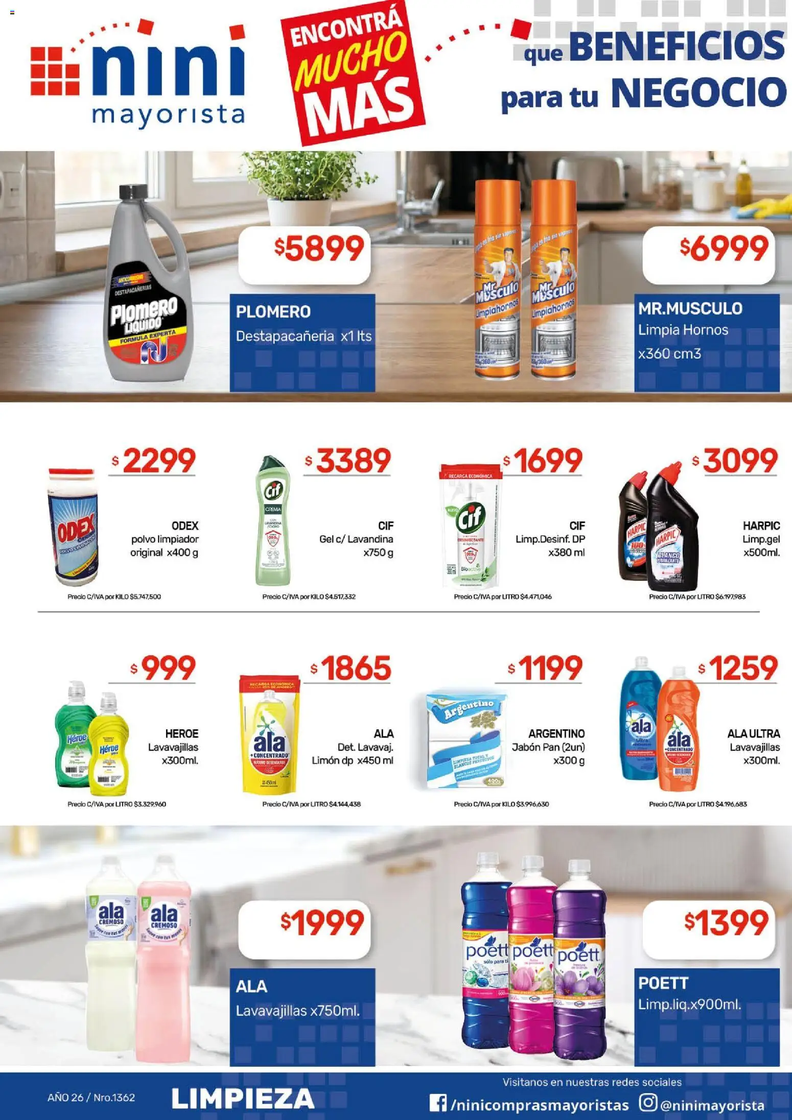 NINI Mayorista ofertas │ válido desde el 01.06.2026 | Página: 11 | Productos: Lavavajillas, Jabón, Limón, Pan