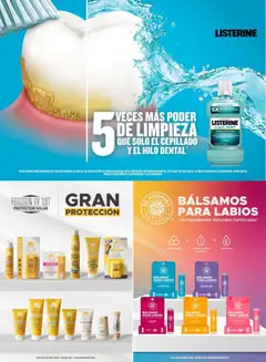 Vista previa de Chedraui folleto, nuevo folleto de la tienda, válido en México a partir del 04.05.2026 | Página: 51 | Productos: Avena, Bálsamo, Hilo dental, Protector solar