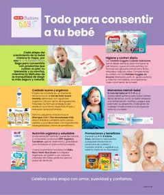 Vista previa de H-E-B folleto Celebra, nuevo folleto de la tienda, válido en México a partir del 01/09/2026 | Página: 61
