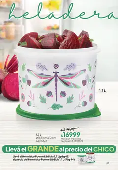 Vista previa Tupperware Folleto válido desde el 28.04.2026 | Página: 46 | Productos: Heladera