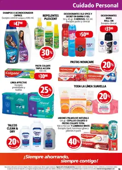 Vista previa de Farmacia Guadalajara catálogo, nuevo folleto de la tienda, válido en México a partir del 01/07/2026 | Página: 13