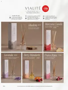 Vista previa de Vianney - Catálogo Invierno, nuevo folleto de la tienda, válido en México a partir del 15.08.2025 | Página: 146 | Productos: Frasco, Manzana, Lima, Contenedor