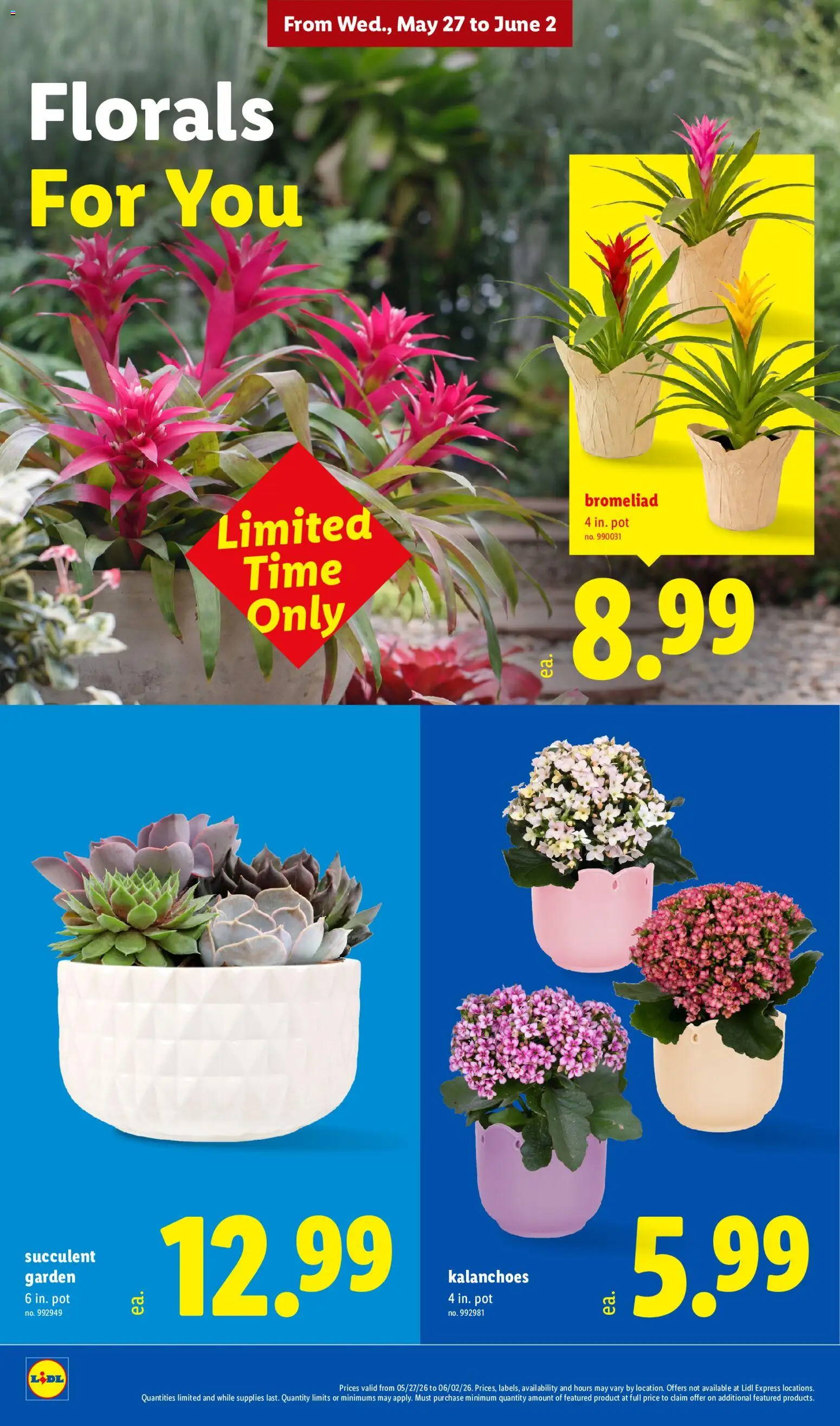 Lidl Weekly Ad - valid from 27.05.2026 | Page: 30