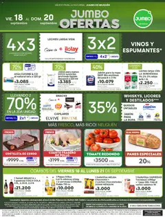 Vista previa Jumbo - Ofertas | Neuquén válido desde el 18/09/2026