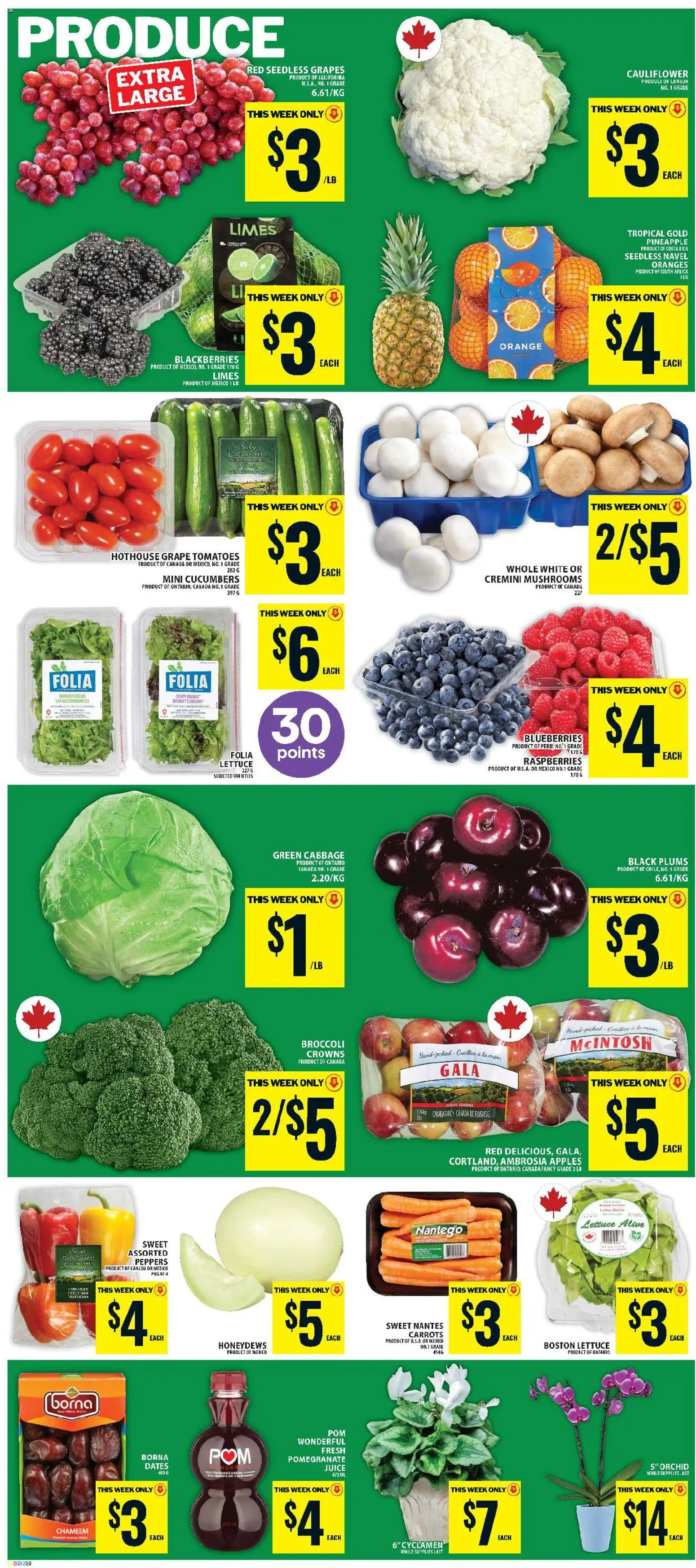 Food Basics flyer valid from Oct 29, 2026 | Page: 5