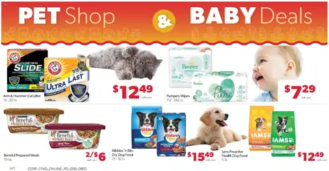 Preview of Family Fare weekly ads valid from 08/02/2026 | Page: 12 | Products: Dog Food, Hammer, Beef, Water