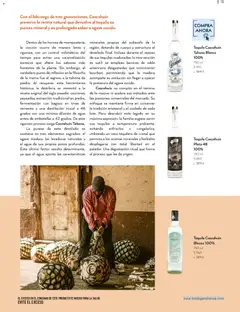 Vista previa de Bodegas Alianza catálogo, nuevo folleto de la tienda, válido en México a partir del 01/07/2026 | Página: 17