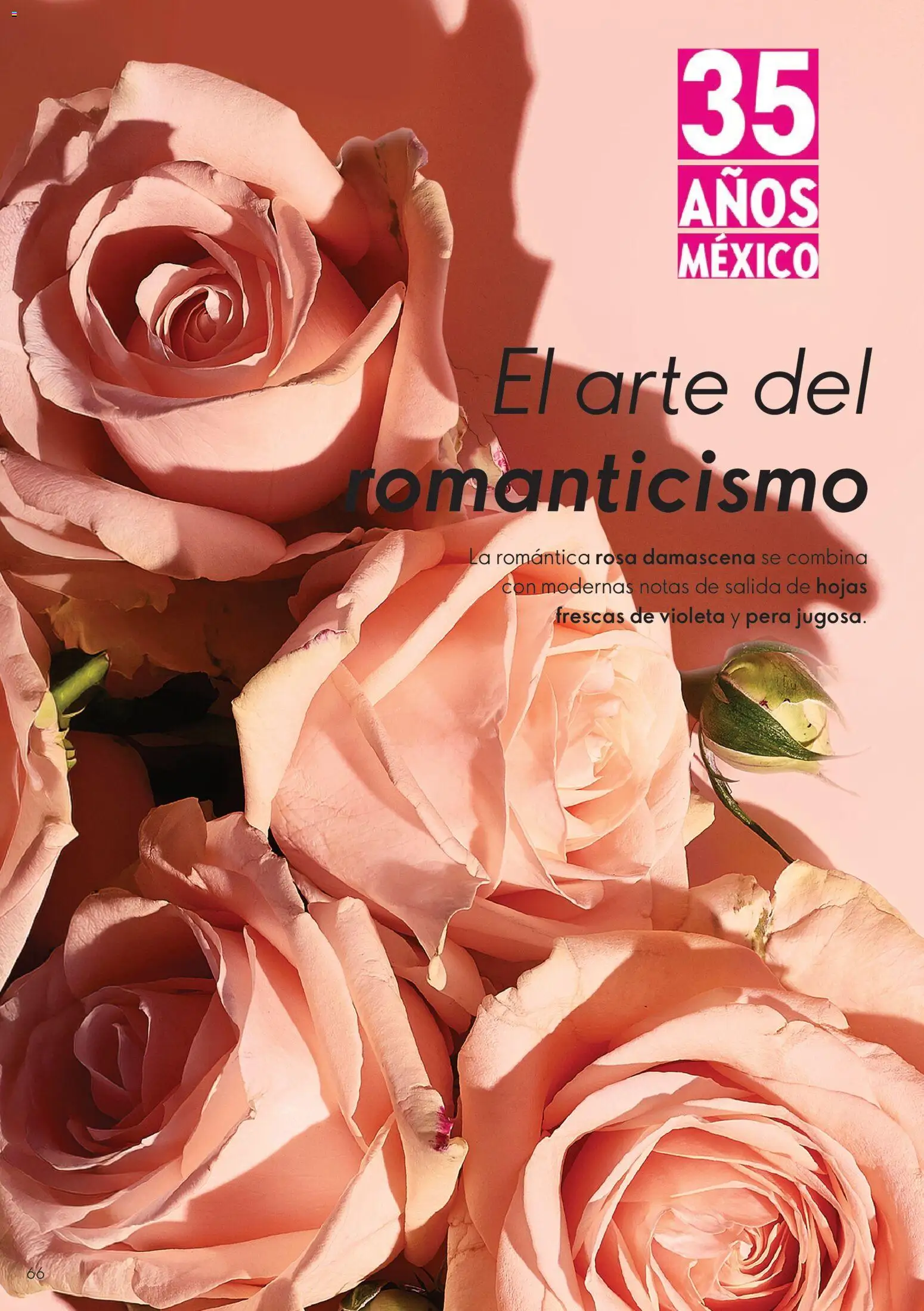 Nuevas ofertas de Oriflame válidas en toda la República Mexicana desde el 01/08/2026. ¡Encuentra las mejores ofertas en Oriflame campaña 11 2026! | Página: 66 | Productos: Pera