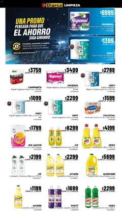 Vista previa Diarco ofertas válido desde el 22/06/2026 | Página: 15
