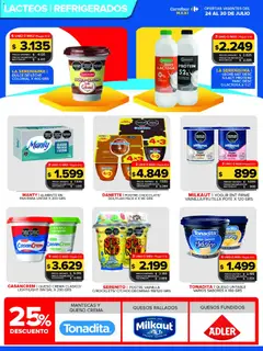 Vista previa Carrefour Maxi catálogo válido desde el 24/07/2026 | Página: 8