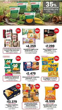 Vista previa Coto - Carnes, verduras, pescadería, frescos y elaborados válido desde el 15.06.2026 | Página: 8
