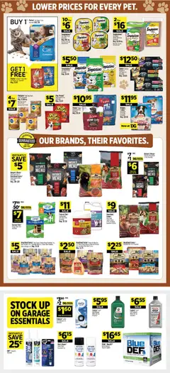 Preview of Dollar General weekly ads valid from 17.05.2026 | Page: 11