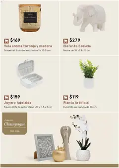 Vista previa de Coppel catálogo Starhaus Otoño Invierno, nuevo folleto de la tienda, válido en México a partir del 17/08/2026 | Página: 14