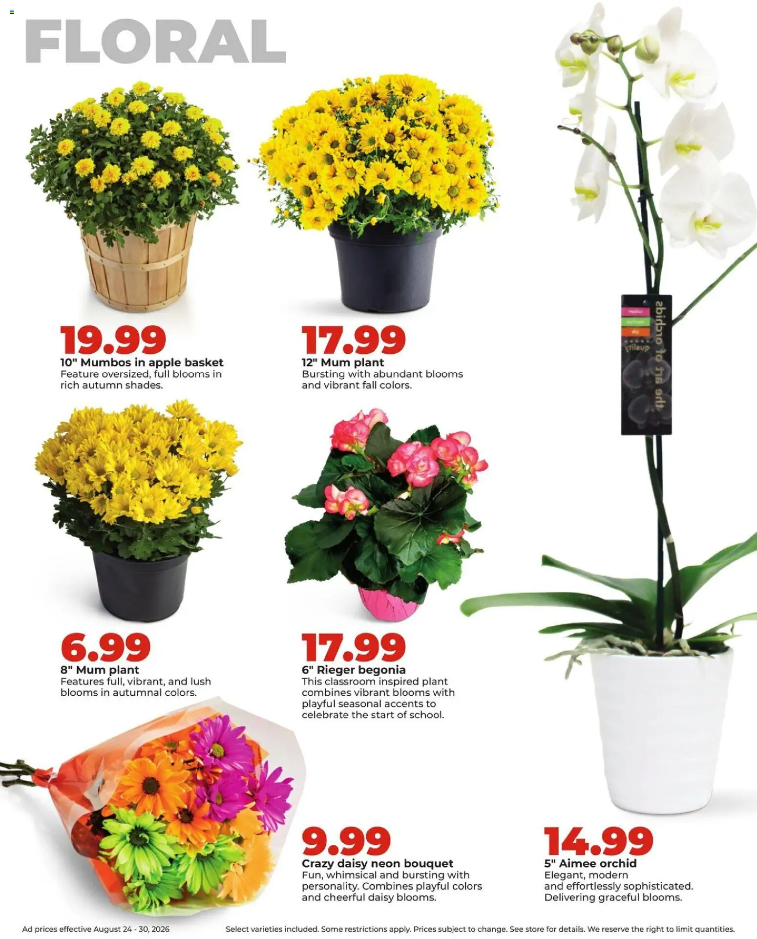 HyVee Weekly Ad - valid from 08/24/2026 | Page: 30