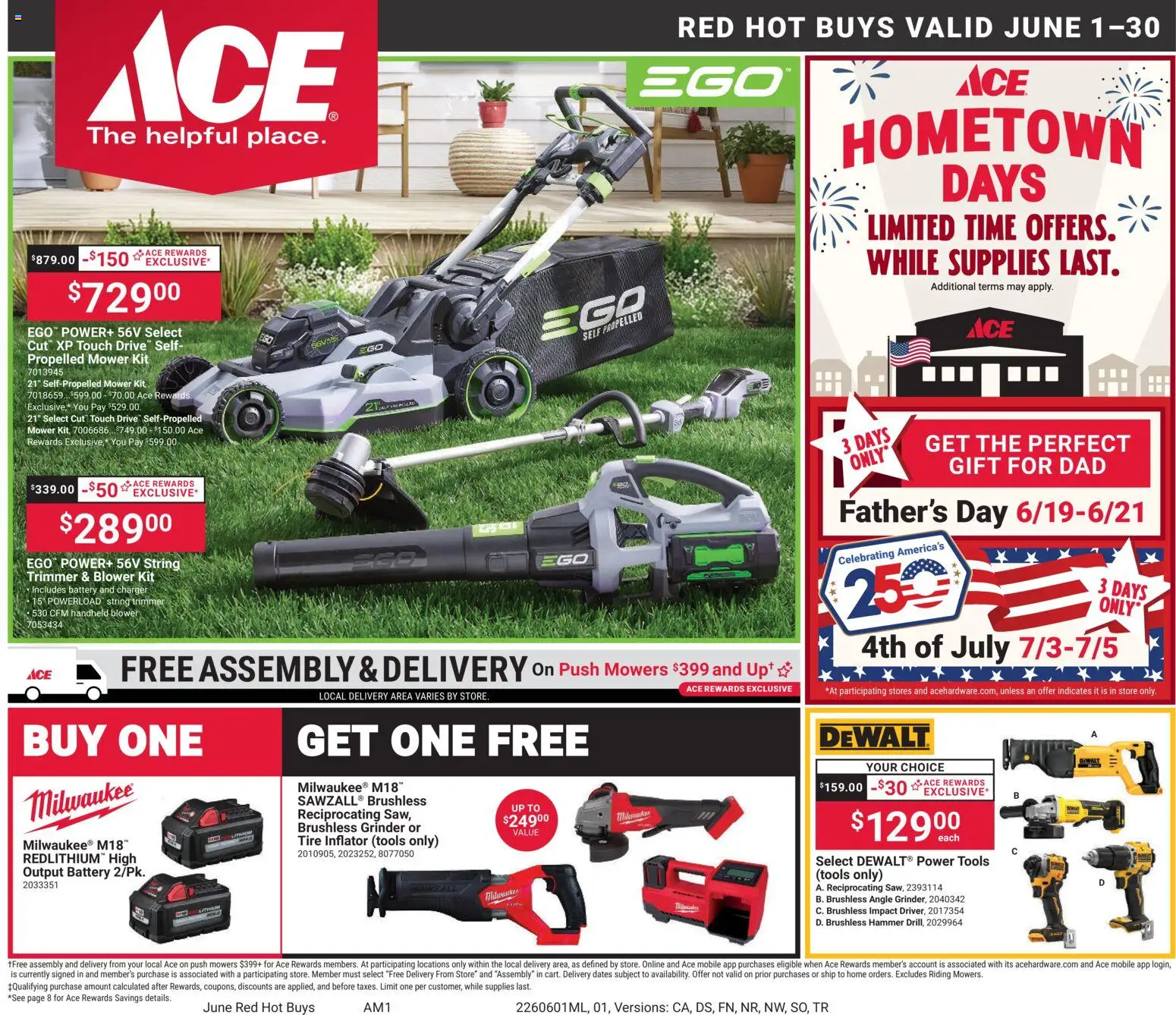 ACE Hardware Weekly Ad - valid from 01.06.2026 | Page: 1
