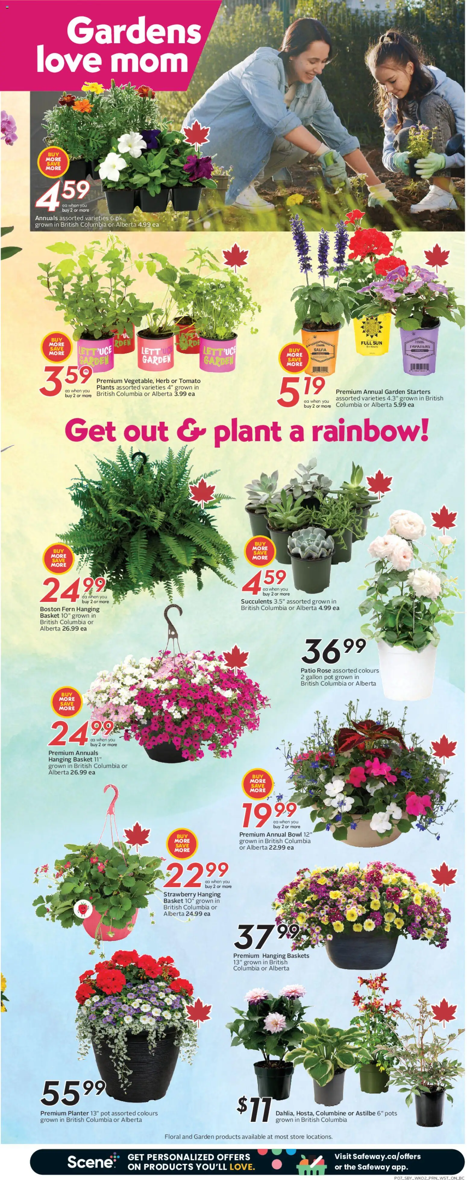 Safeway flyer valid from 07.05.2026 | Page: 10 | Products: Basket