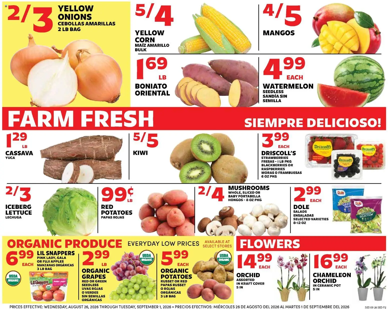 Sedano's Weekly Ad - valid from 08/26/2026 | Page: 2 | Products: Orchid, Kiwi, Flowers, Watermelon