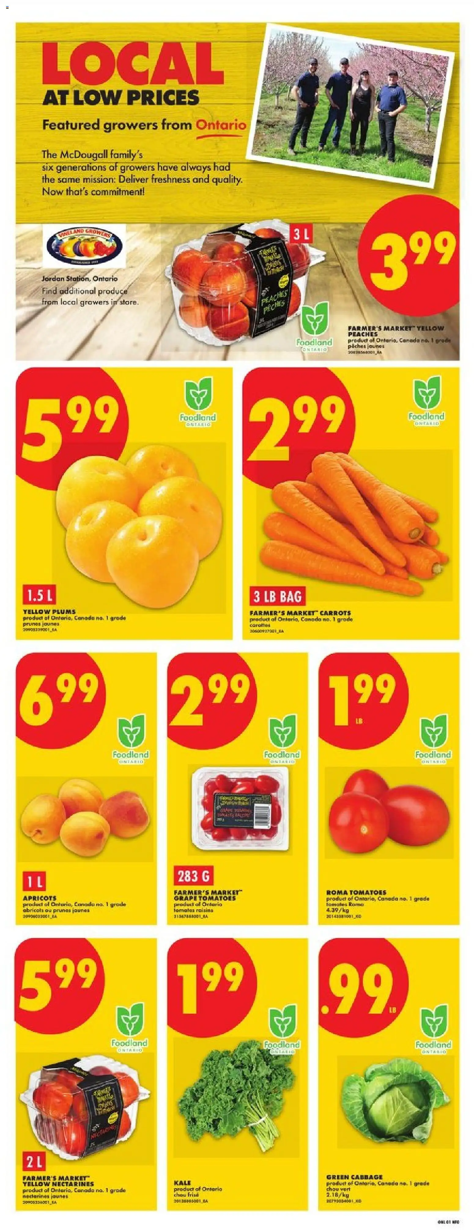 No Frills flyer valid from Jul 30, 2026 | Page: 3