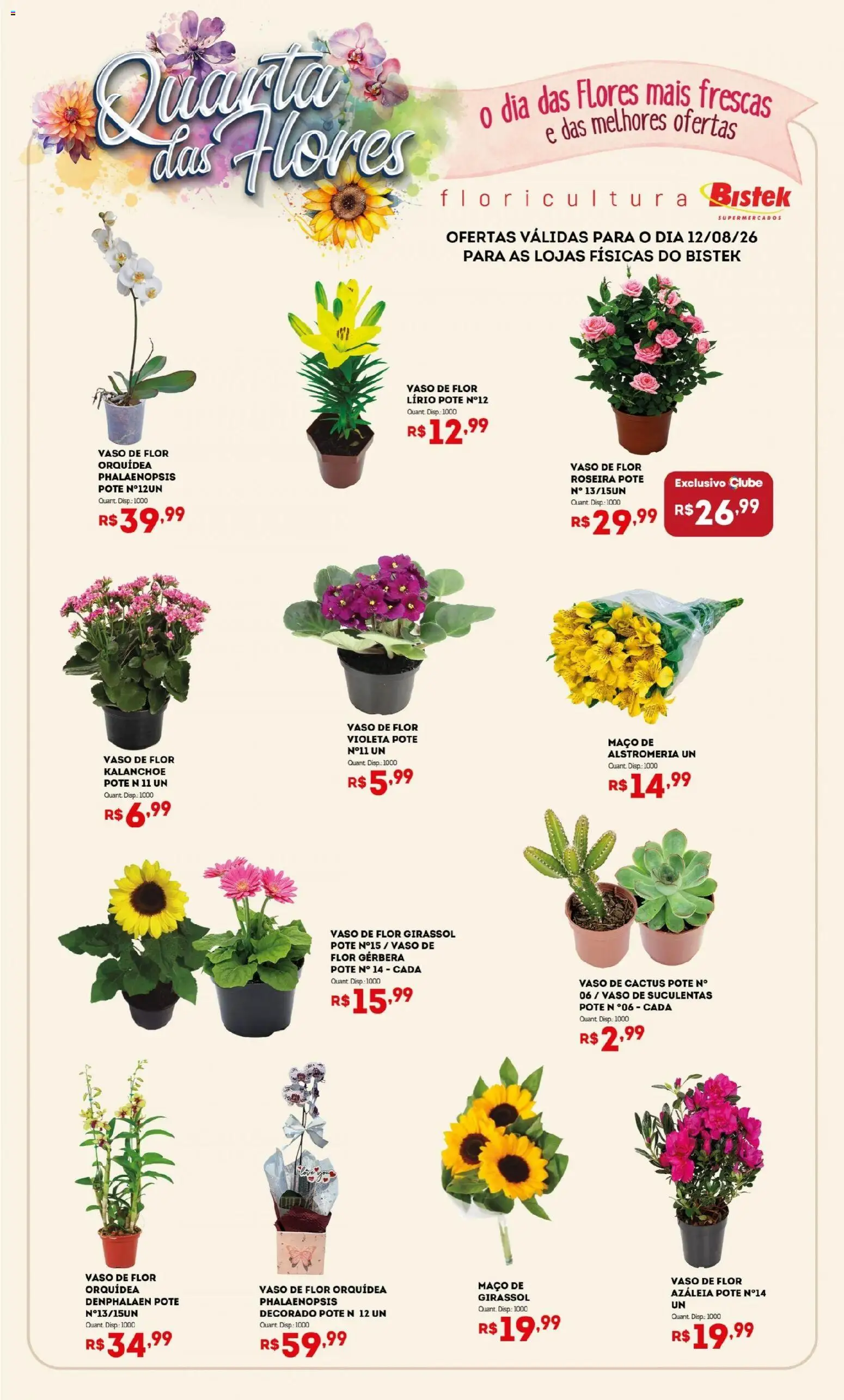 Bistek Supermercados Folheto - válido de 12/08/2026 | Página: 1 | Produtos: Denphalaen, Orquídea, Flores, Vaso